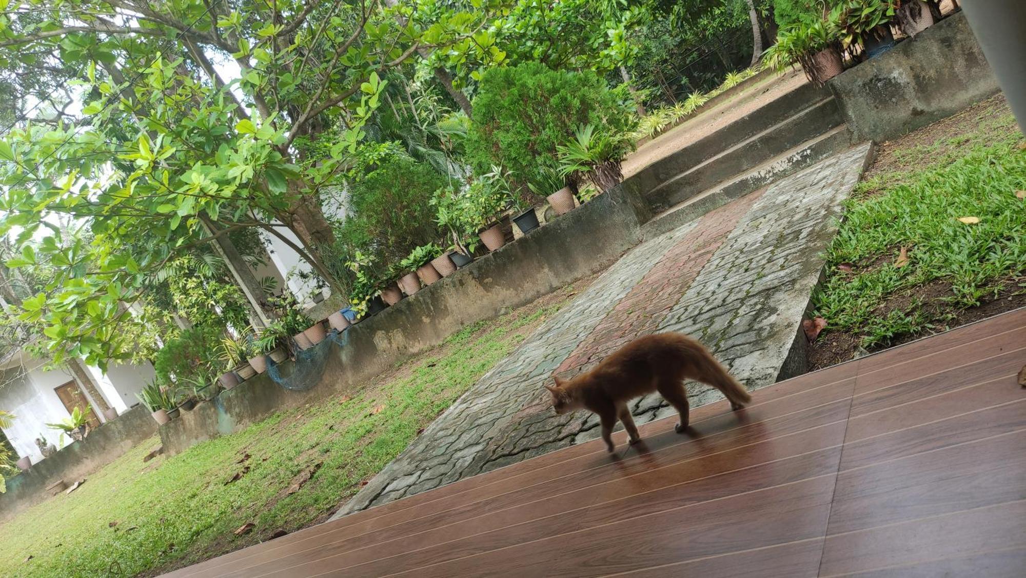 Hotel Deer Garden Guest Polonnaruwa Exterior foto