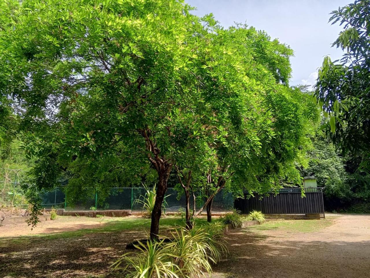 Hotel Deer Garden Guest Polonnaruwa Exterior foto